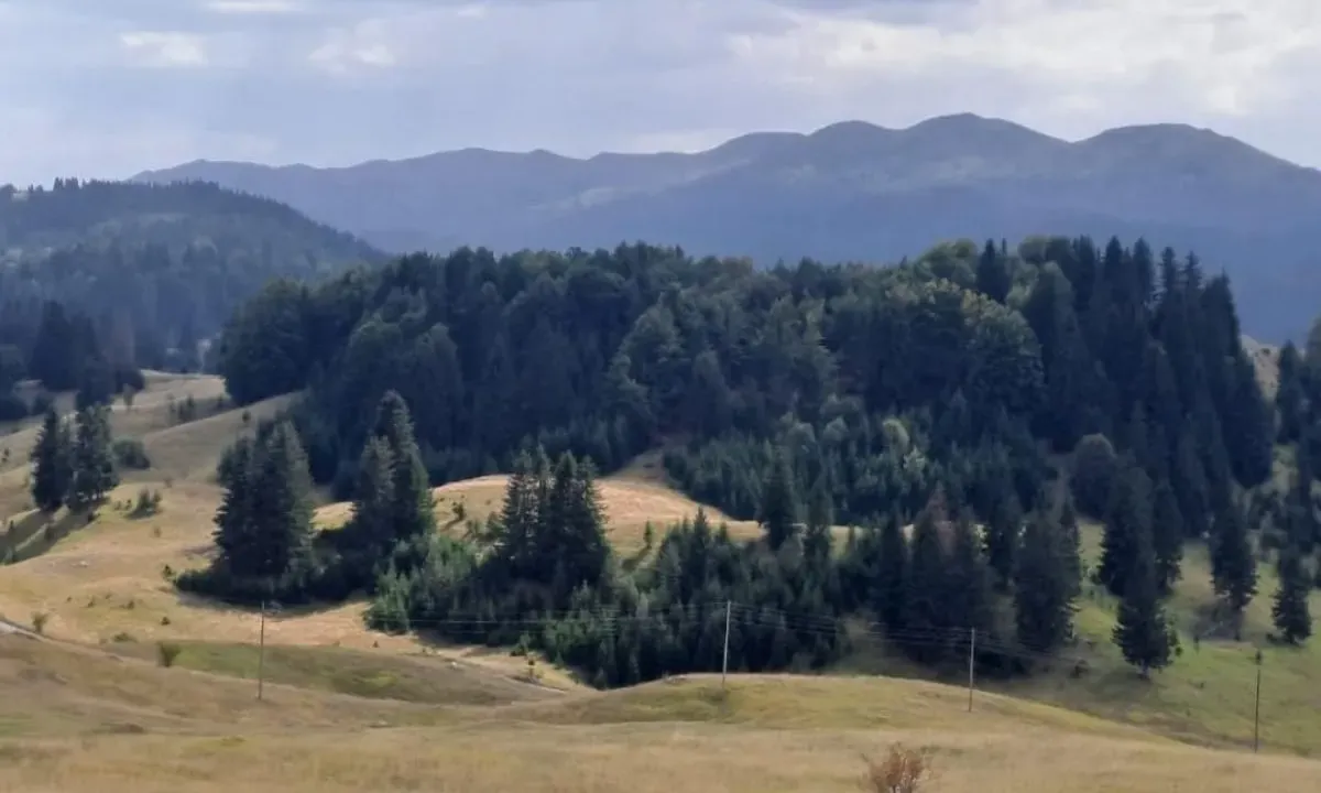 Sale, land lot, 32700m², Krš, Žabljak