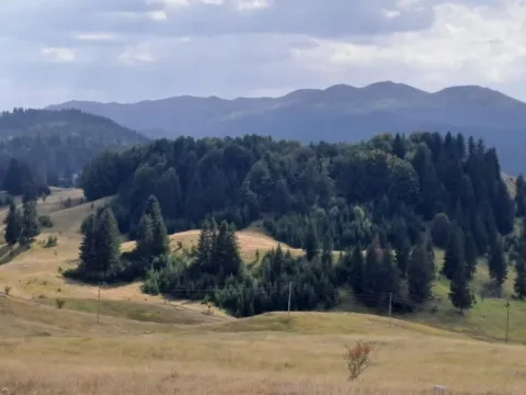 Sale, land lot, 32700m², Krš, Žabljak