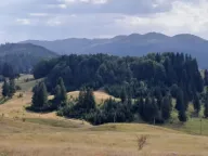 Sale, land lot, 32700m², Krš, Žabljak - image 1