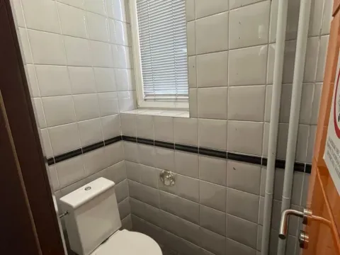 Izdavanje, poslovni prostor, 201m², Botanička Bašta, Palilula Sve Podlokacije - image 10