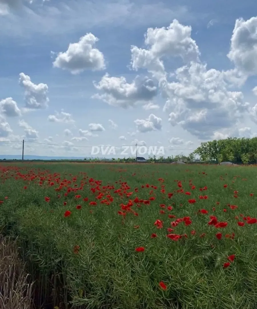 Prodaja, kuća, 37m², Čenej, Novi Sad Sve Podlokacije