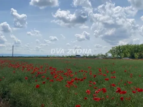 Sale, house, 37m², Čenej, Novi Sad Sve Podlokacije - image 19