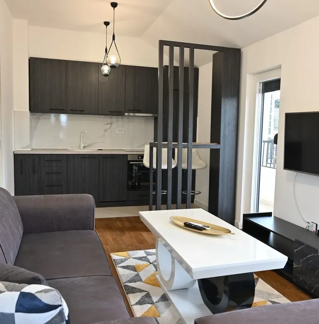 Rent, one bedroom apartment, 50m², Zagorič, Podgorica