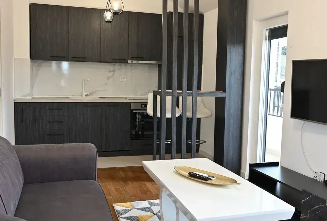Rent, one bedroom apartment, 50m², Zagorič, Podgorica