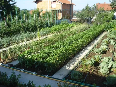 Prodaja, kuća, 400m², Barajevo (mesto), Barajevo - image 8
