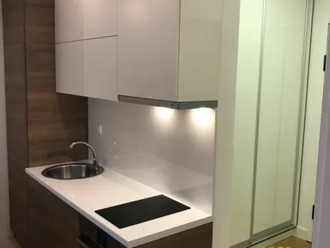 Izdavanje, dvosoban stan, 43m², Južni Bulevar, Vračar Sve Podlokacije - image 4