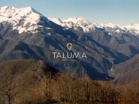 Prodaja, plac, 75000m², Crkvine, Kolašin - image 1