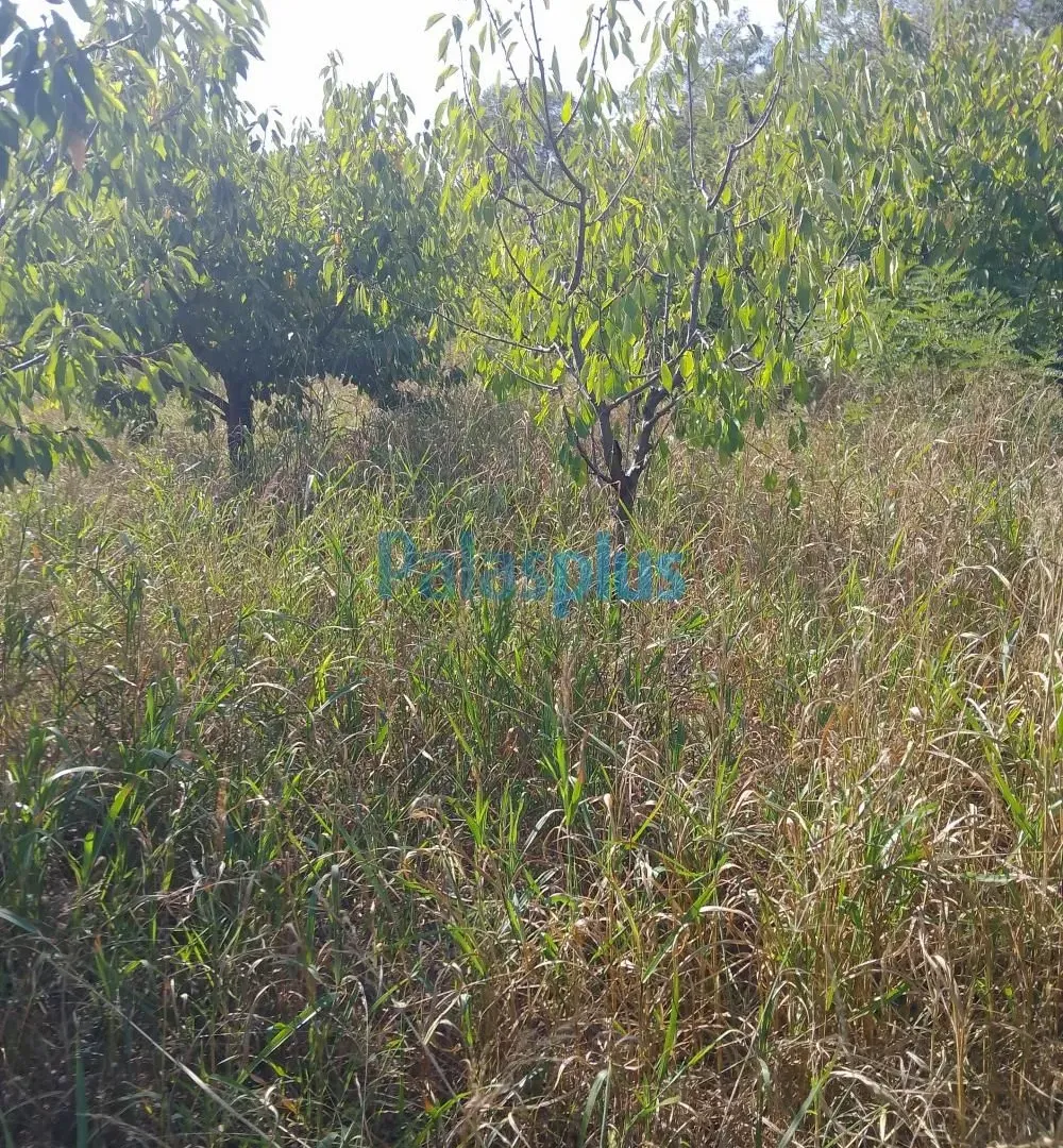 Prodaja, plac, 2457m², Plavinci, Grocka