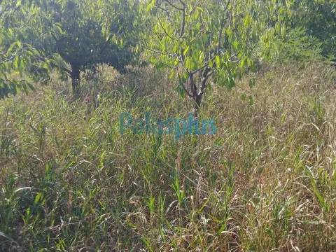 Sale, land lot, 4914m², Plavinci, Grocka - image 7