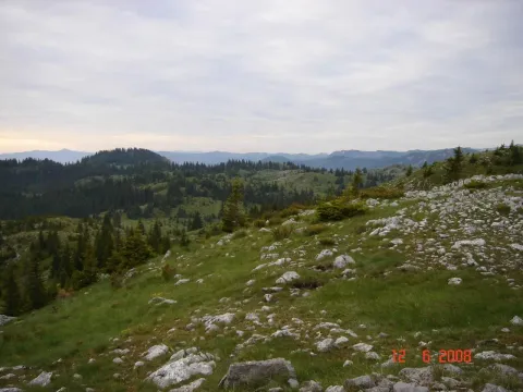 Prodaja, plac, 450000m², Centar, Žabljak - image 6