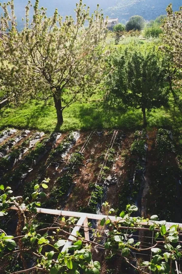 Prodaja, kuća, 200m², Donji Kokoti, Podgorica