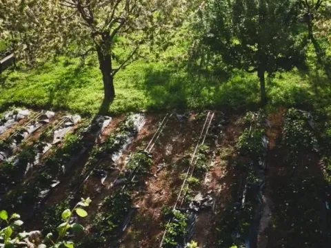 Prodaja, kuća, 200m², Donji Kokoti, Podgorica - image 32