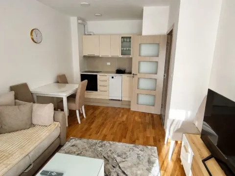 Rent, one bedroom apartment, 40m², Zabjelo, Podgorica - image 1