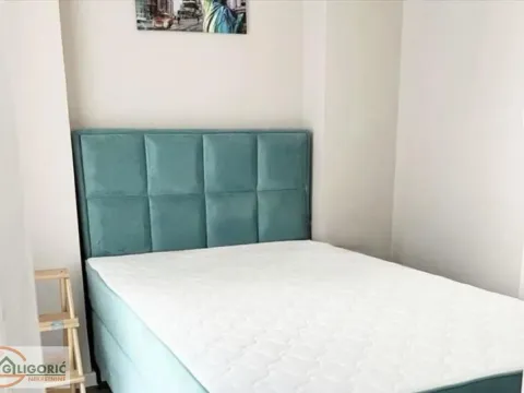 Rent, two bedroom apartment, 58m², Vračar Hram, Vračar Sve Podlokacije - image 10