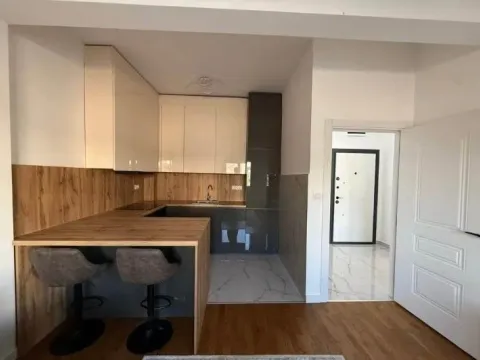 Prodaja, jednosoban stan, 43m², Zabjelo, Podgorica - image 2