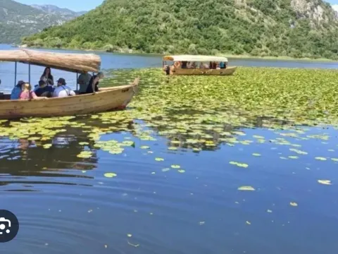 Prodaja, plac, 330m², Žabljak, Crna Gora - image 2