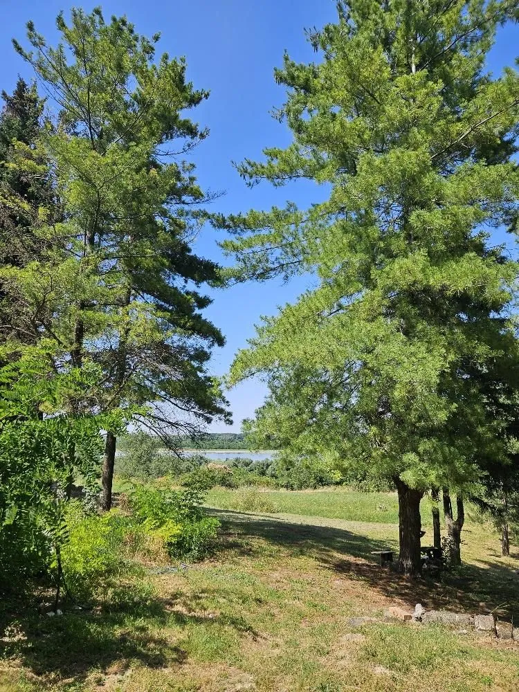 Prodaja, plac, 5000m², Stari Slankamen, Inđija