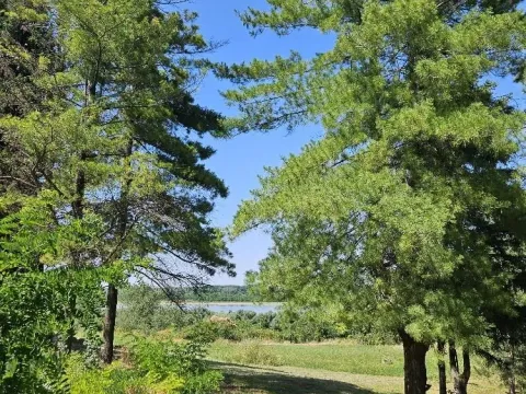 Sale, land lot, 5000m², Stari Slankamen, Inđija - image 17