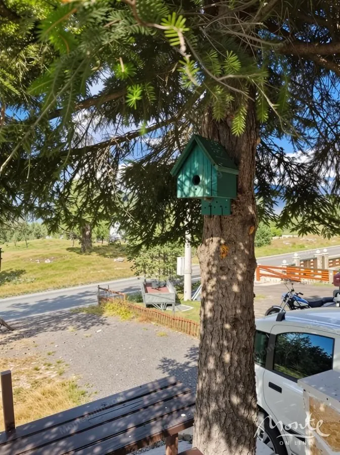 Prodaja, kuća, 82m², Borje, Žabljak