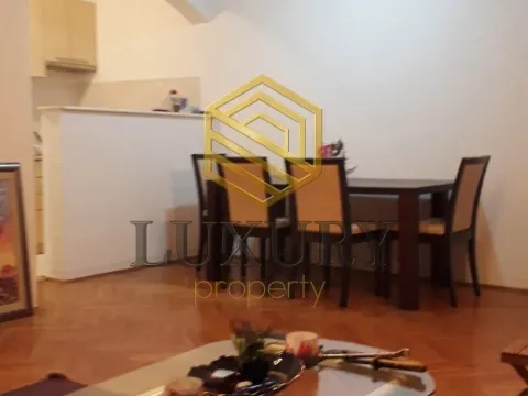 Izdavanje, jednosoban stan, 74m², Zagorič, Podgorica - image 4