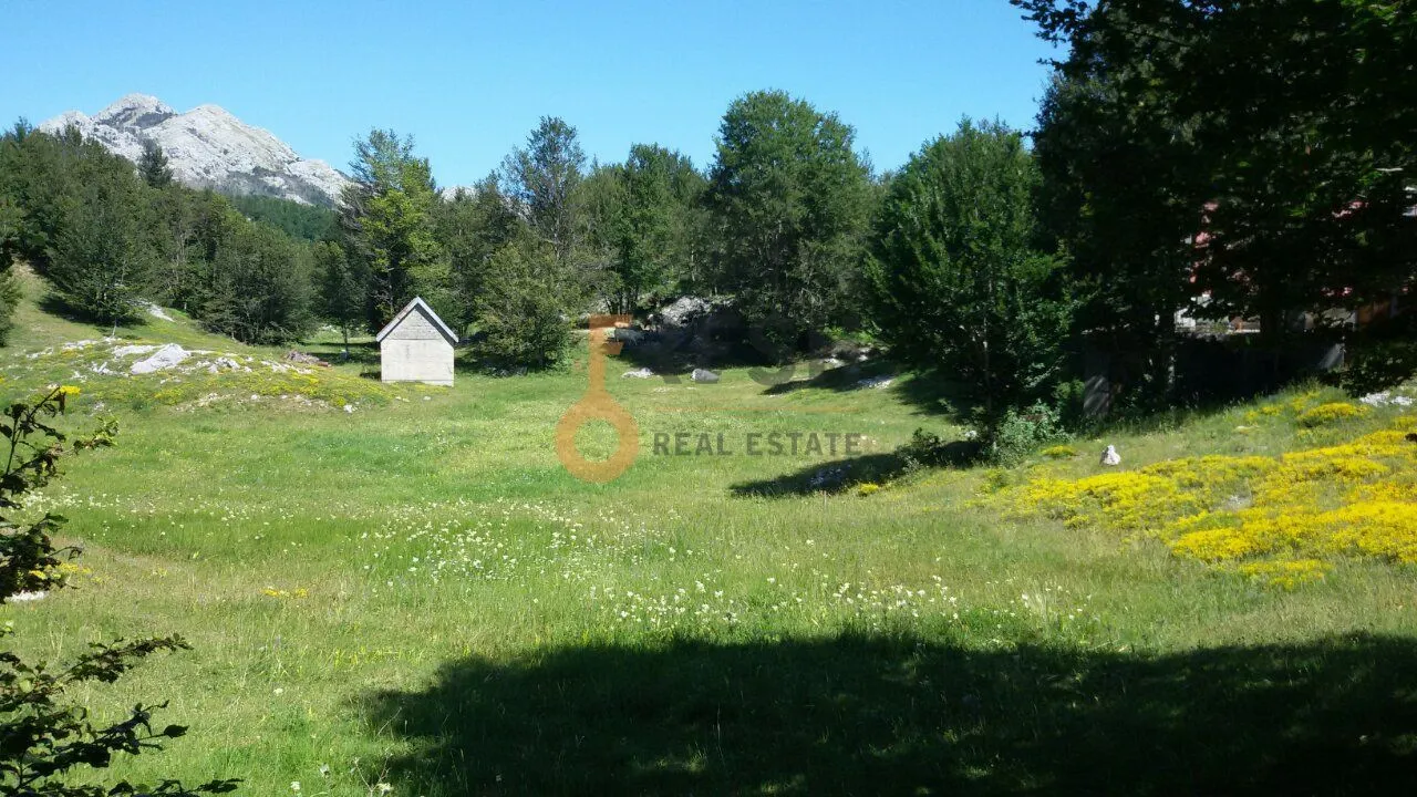 Prodaja, plac, 100000m², Cetinje, Crna Gora