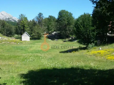 Prodaja, plac, 100000m², Cetinje, Crna Gora - image 1