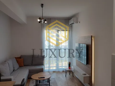 Rent, one bedroom apartment, 36m², Stari Aerodrom, Podgorica - image 8