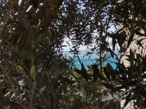 Sale, two bedroom apartment, 77m², Petrovac, Budva - image 5