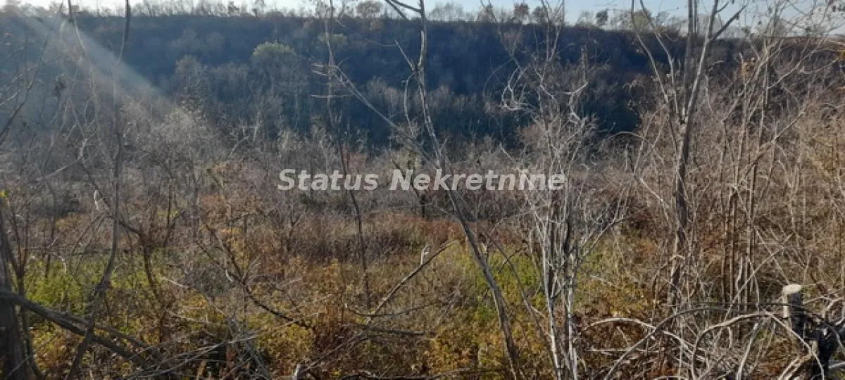 Prodaja, plac, 13011m², Beočin, Srbija