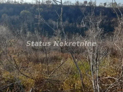 Sale, land lot, 130m², Beočin, Srbija - image 16