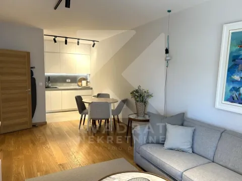 Izdavanje, jednosoban stan, 48m², New City, Podgorica - image 5