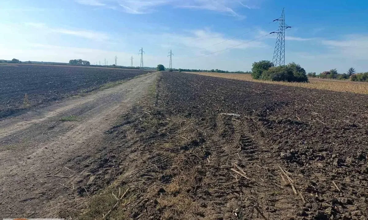 Sale, land lot, 50m², Pančevo, Srbija