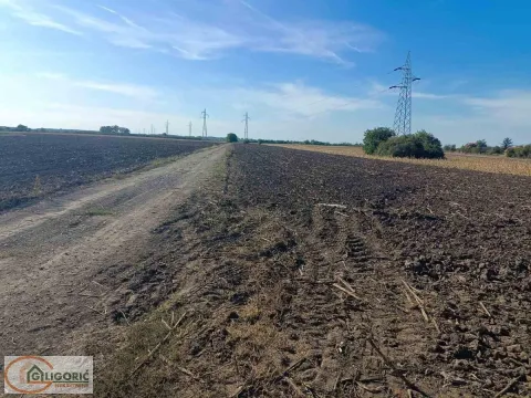 Sale, land lot, 50m², Pančevo, Srbija
