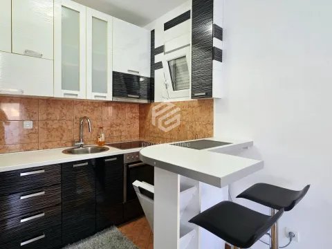 Izdavanje, jednosoban stan, 43m², Zabjelo, Podgorica - image 4