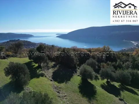 Prodaja, plac, 1553m², Trebesinj, Herceg Novi - image 2