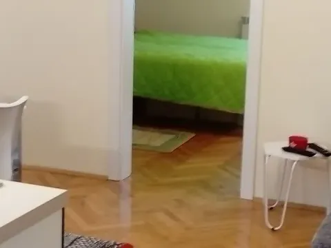 Izdavanje, dvosoban stan, 49m², Dedinje Sve Podlokacije, Beograd - image 7