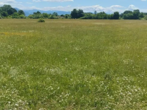 Prodaja, zemljište, 5534m2, Ćurilac, Danilovgrad Prodaja, zemljište, 5534m2, Ćurilac, Danilovgrad