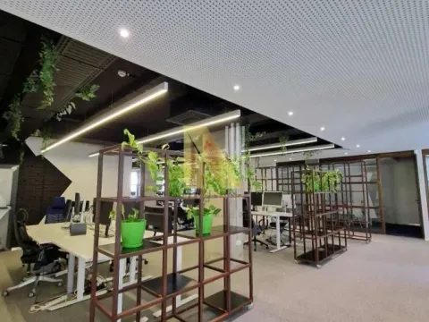 Rent, office space, 527m², Podbara, Novi Sad Sve Podlokacije - image 11