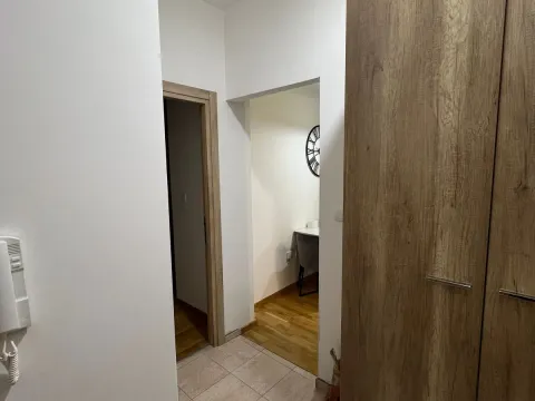 Izdavanje, jednosoban stan, 42m², Ljubović, Podgorica - image 10