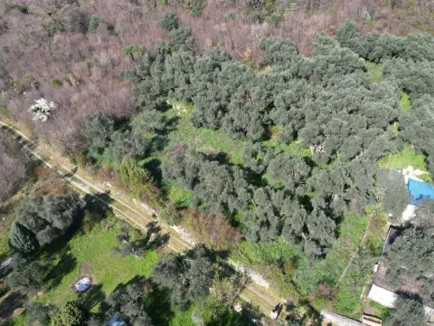 Sale, land lot, 15810m², Buljarica, Budva - image 22