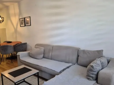 Rent, one bedroom apartment, 49m², Central Point, Podgorica - image 2