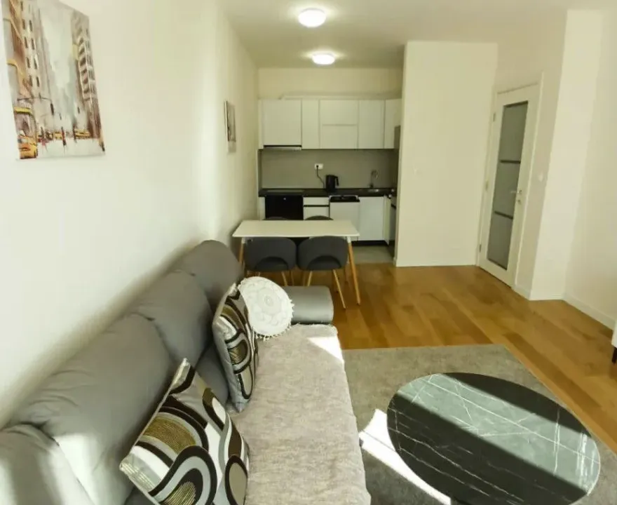 Prodaja, jednosoban stan, 48m², Central Point, Podgorica