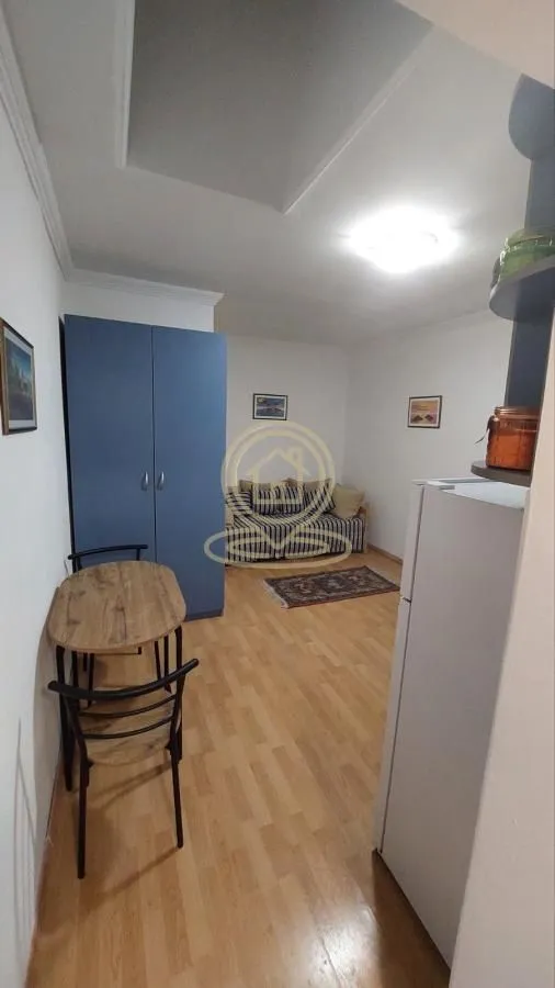 Izdavanje, jednosoban stan, 20m², Centar, Novi Sad