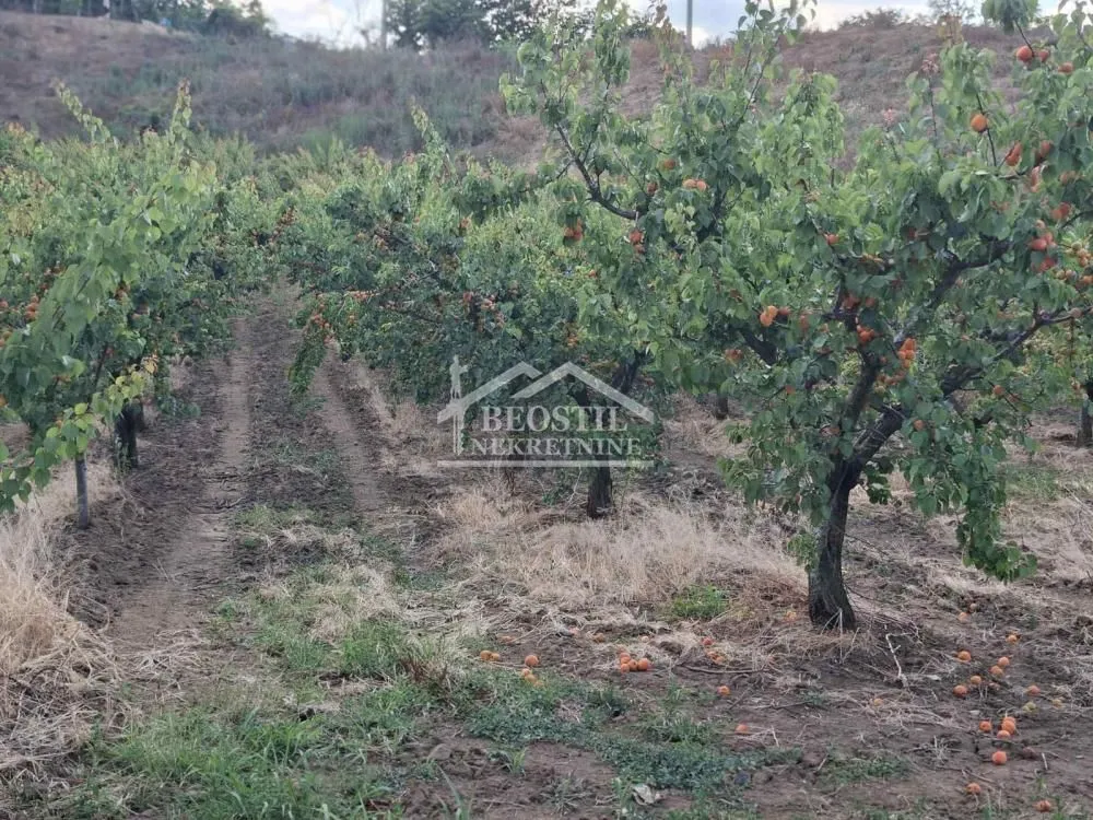 Sale, land lot, 900m², Grocka, Beograd