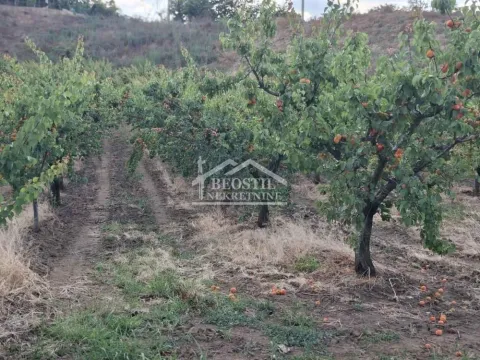 Sale, land lot, 900m², Grocka, Beograd - image 5