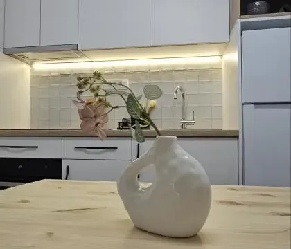 Izdavanje, stan, 36m², Centar, Novi Sad - image 6