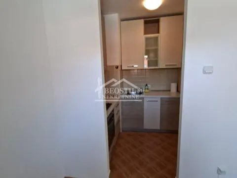 Rent, two bedroom apartment, 43m², Vračar Sve Podlokacije, Beograd - image 6