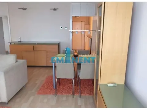 Izdavanje, stan, 60m², Arena, Novi Beograd Sve Podlokacije - image 4