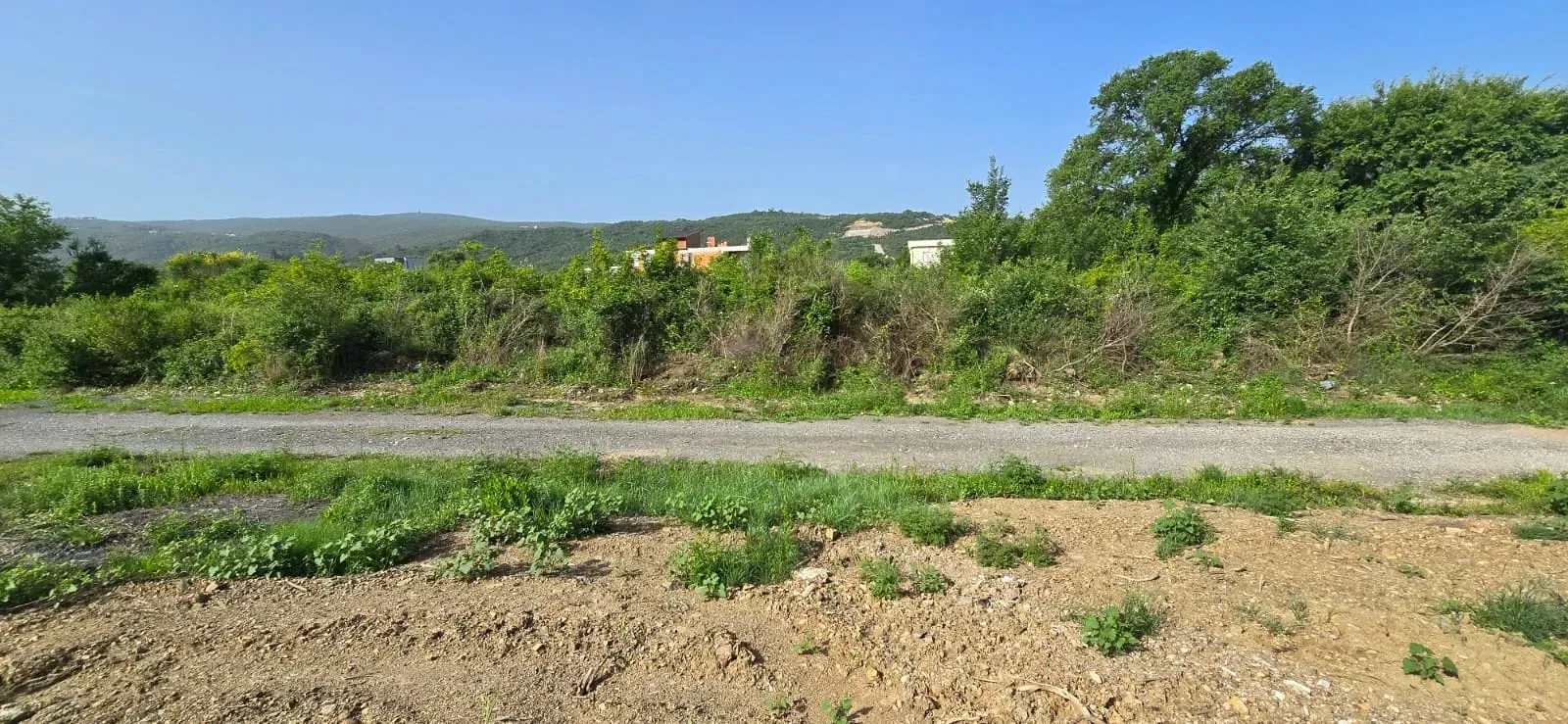 Prodaja, plac, 2924m², Kotor, Crna Gora