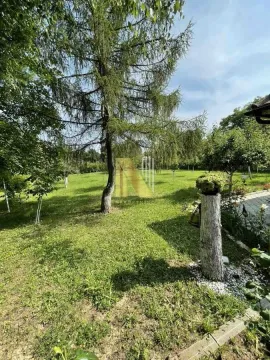 Zeleno dvorište sa drvećem i uređenom stazom. - image 7